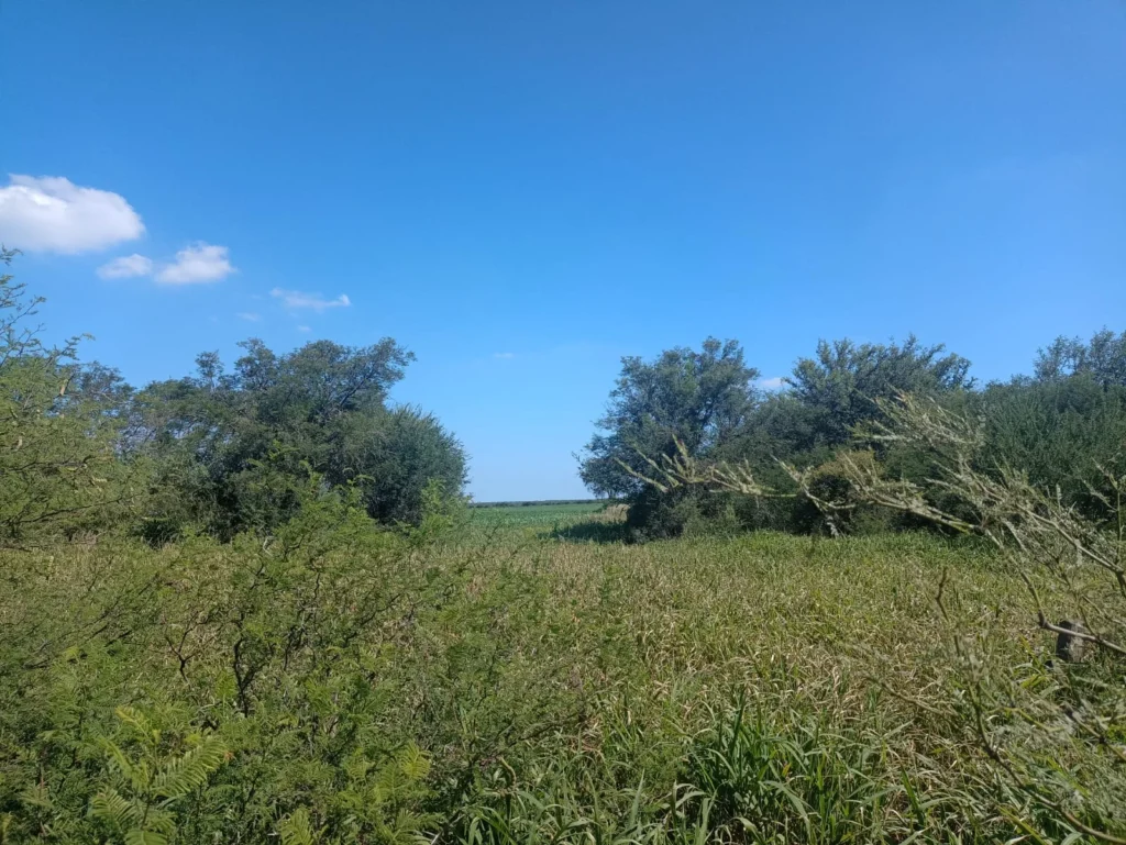 campo-puesto-de-sanchez (11)