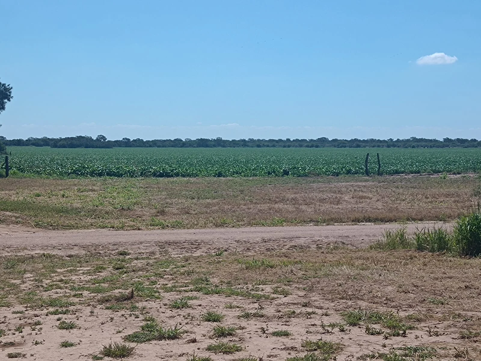 campo-puesto-de-sanchez (15)