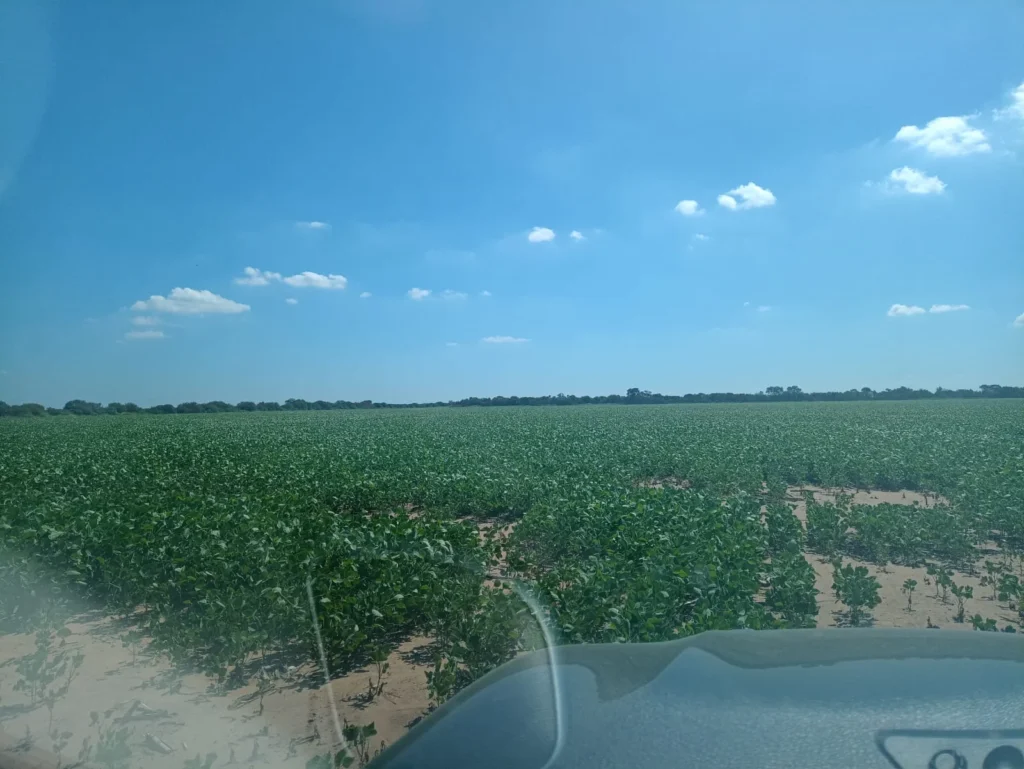 campo-puesto-de-sanchez (21)