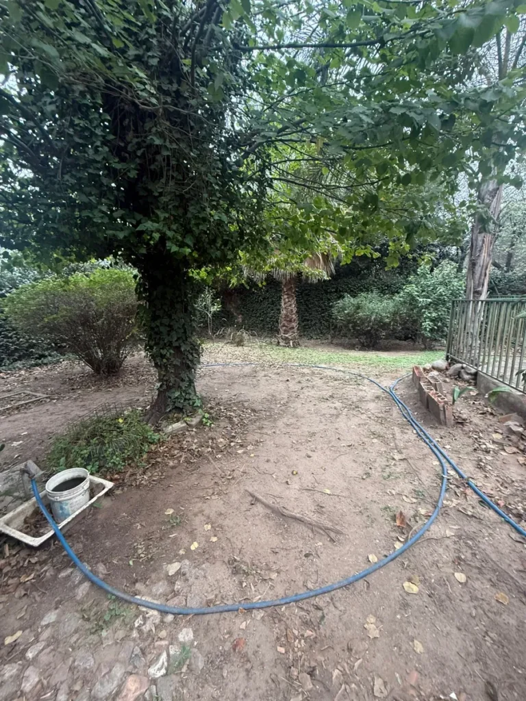 ruta-9-sinsacate-casa-con-locales-y-938-m2-terreno-07