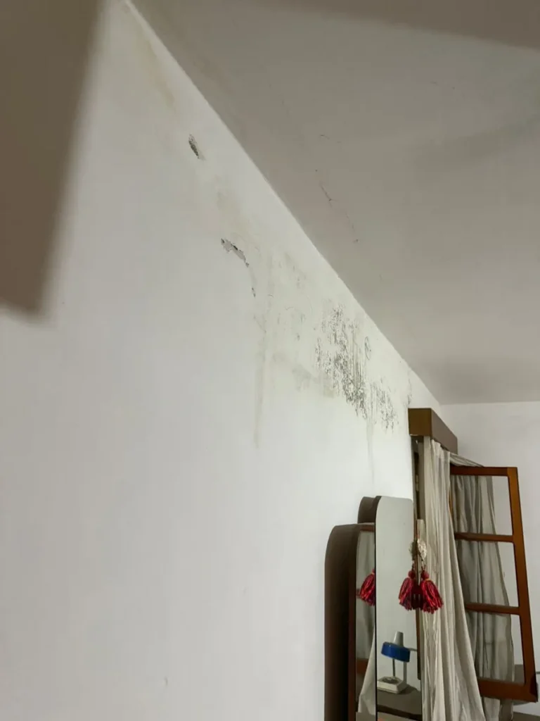 ruta-9-sinsacate-casa-con-locales-y-938-m2-terreno-12