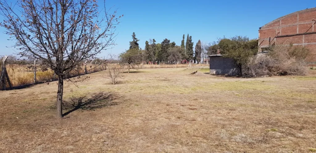 terreno-de-1-hectarea-con-perforacion-en-sinsacate-07